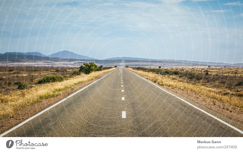 Endless journey Vacation & Travel Summer Landscape Sky Clouds Horizon Street Movement Asphalt Direction Australia Steppe Hill Dry Grassland Sparse