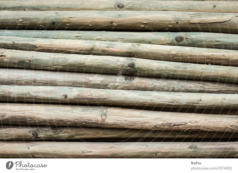 Detail of a stack of impregnated wooden posts. Wood grain Annual ring Moss Abstract decay Weathered Lumber industry Agriculture Firewood Tree stump Nature