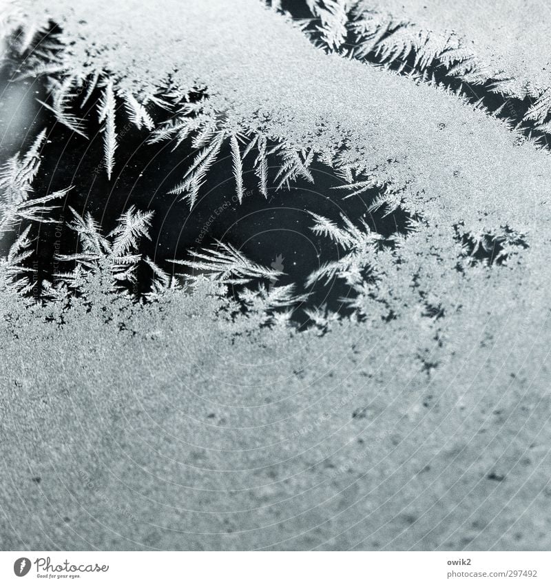 Crystals at the window Winter Ice Frost Frostwork Cold Point Thorny Bizarre Colour photo Subdued colour Interior shot Close-up Detail Macro (Extreme close-up)