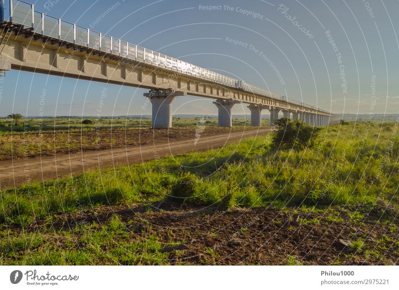 View of the viaduct of the Nairobi railroad to mombassa Park Train station Bridge Architecture Transport Street Highway Overpass Railroad Modern Green Kenya