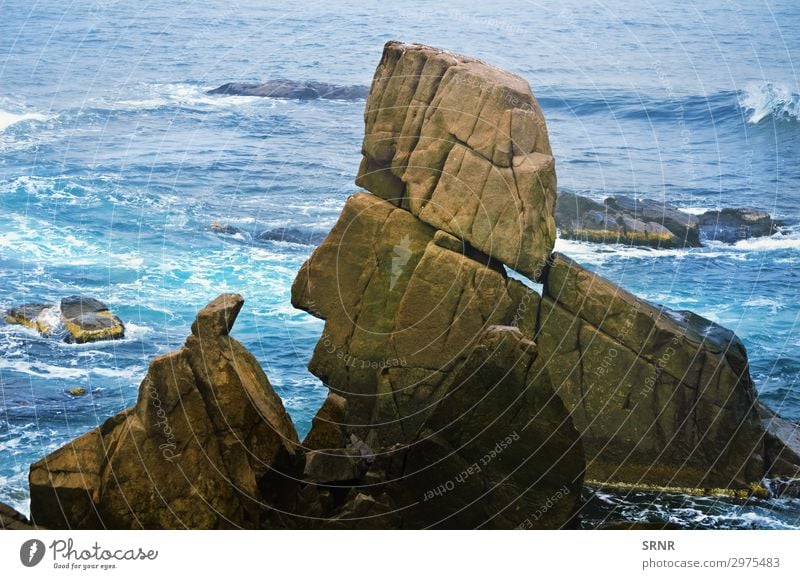 Rocks Ocean Environment Nature Landscape Water Coast Yacht harbour Stone Maritime Black Sea Bulgaria cliffy earth Ecological ecosystem Europe marine no person