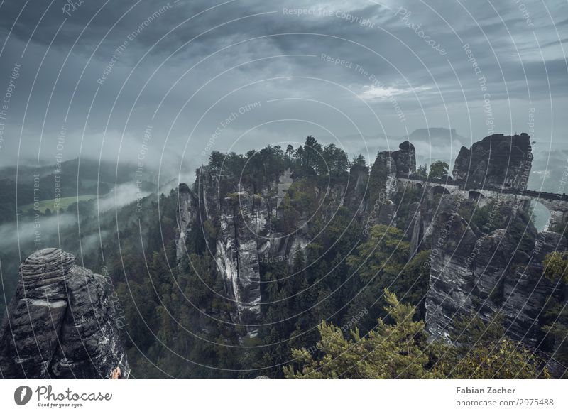 Bastai Bridge in Saxon Switzerland Vacation & Travel Camping Mountain Nature Landscape Sand Clouds Sunrise Sunset Bad weather Fog Tree Forest Hiking