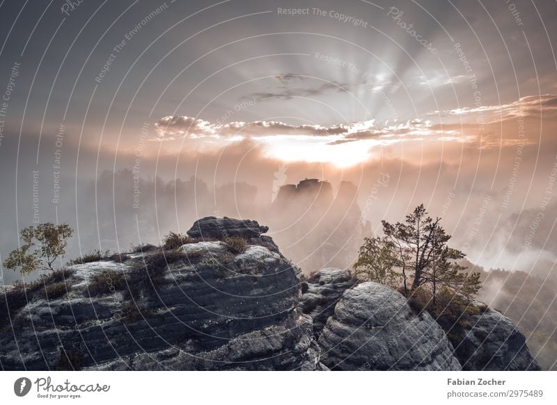 Sunrise at the Bastei Bridge Vacation & Travel Camping Mountain Hiking Nature Landscape Clouds Sunset Spring Fog Forest Rock Elbsandstone mountains Fantastic