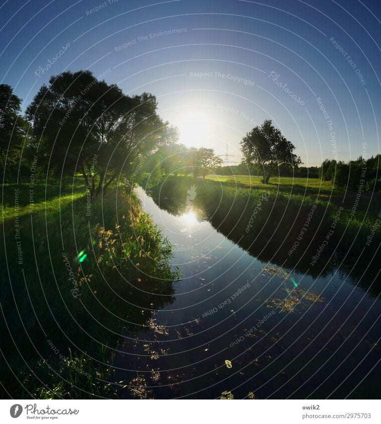 inland ditch Environment Nature Landscape Plant Water Cloudless sky Horizon Sun Spring Tree Grass Bushes Meadow Brook Channel Illuminate Serene Patient Calm