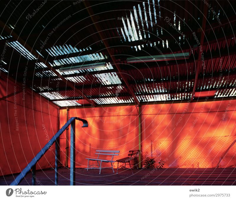 break Park bench Stage Stage set Banister Roof Stand Wait Red Patient Calm Colour photo Exterior shot Structures and shapes Deserted Copy Space left