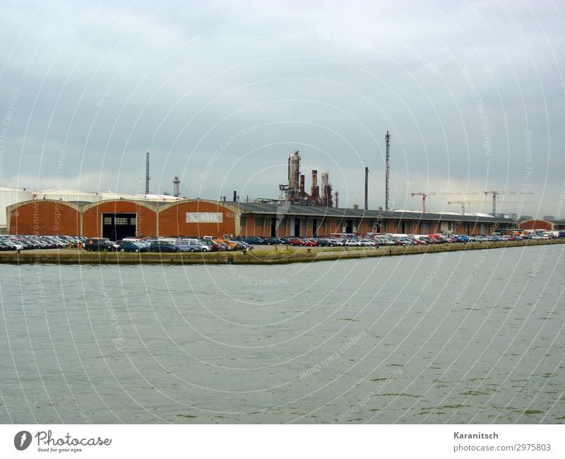 Car loading station at the harbour Technology Industry Landscape Water Bad weather Antwerp Belgium Europe Port City Industrial plant Harbour Building