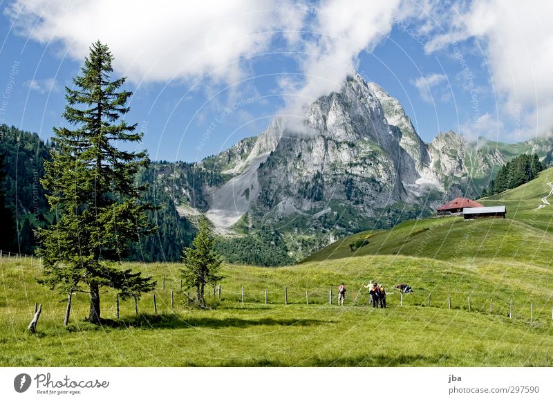 mountain world Well-being Calm Trip Summer Mountain Hiking Friendship Group Nature Landscape Animal Clouds Beautiful weather Fir tree Rock Alps Peak Saanenland