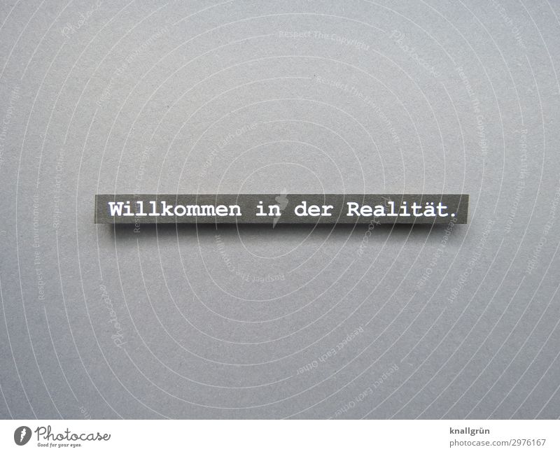 Welcome to reality. Characters Signs and labeling Communicate Gray White Emotions Truth Curiosity Experience Life Really Colour photo Studio shot Deserted