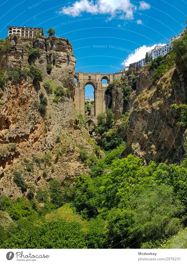 Ronda I Environment Nature Landscape Plant Sky Clouds Sun Sunlight Summer Beautiful weather Warmth Tree Flower Grass Bushes Foliage plant Wild plant Exotic Rock