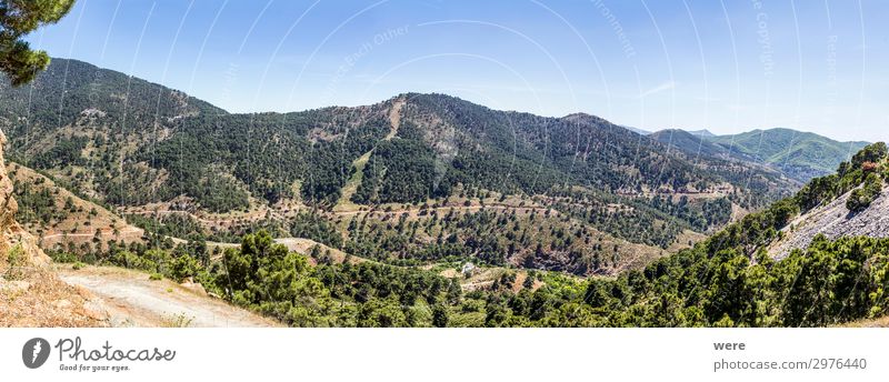 Mountain street in inland Andalucia Nature Landscape Hiking Freedom Leisure and hobbies Climate Far-off places Andalucian National Park