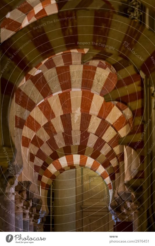 Columns in the World Heritage Mezquita in Cordoba Church Tourist Attraction Religion and faith Culture Andalusia columns holiday Moshe spain arabesque building