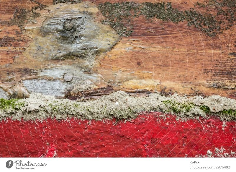 Weathered surface on the hull of a sailing ship. Hull Sailing ship yachtsmen Colour Wood planks Sand Moss structure Draft seafaring technique Launch Harbour