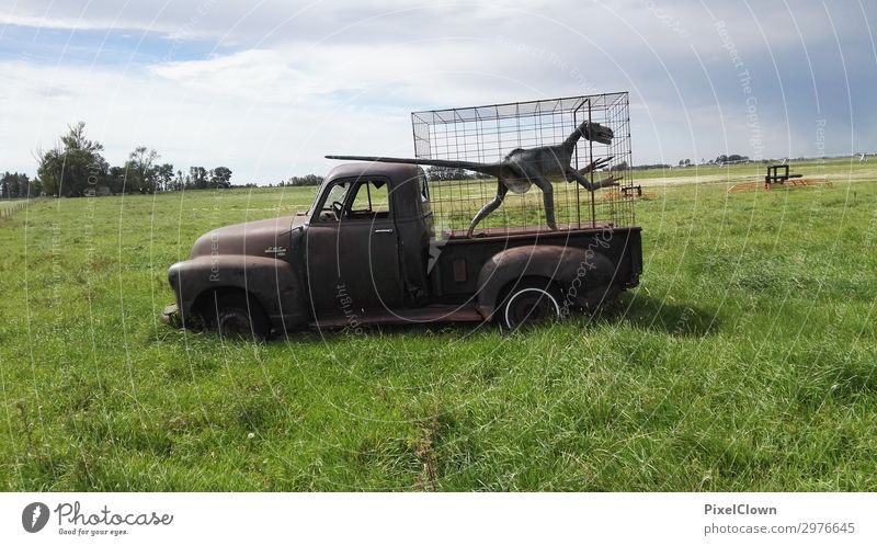 dinosaurs Lifestyle Vacation & Travel Tourism Trip Adventure Far-off places Nature Motoring Animal 1 Green Moody Colour photo Exterior shot