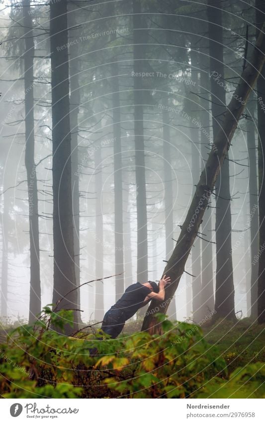 The power of the will Trip Success Human being Masculine Man Adults Nature Fog Tree Bushes Forest T-shirt Jeans Cap Fight Make Athletic Dark Self-confident