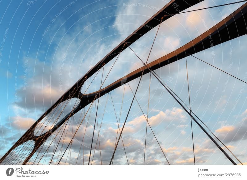 airlift Bridge Architecture Tall Modern Above Blue Brown Black Esthetic Future Attachment Wire cable Colour photo Exterior shot Deserted Day Contrast Silhouette