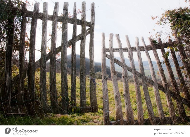 Stay outside / come in Calm Vacation & Travel Adventure Freedom Mountain Living or residing Garden Nature Landscape Spring Grass Bushes Field Hill Deserted Gate