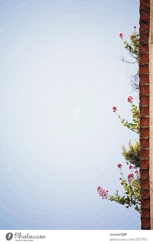 Lisbon's rooftops. Art Esthetic Heaven Eaves Flower Above Detail Summer Weed Colour photo Subdued colour Exterior shot Experimental Abstract Pattern Deserted