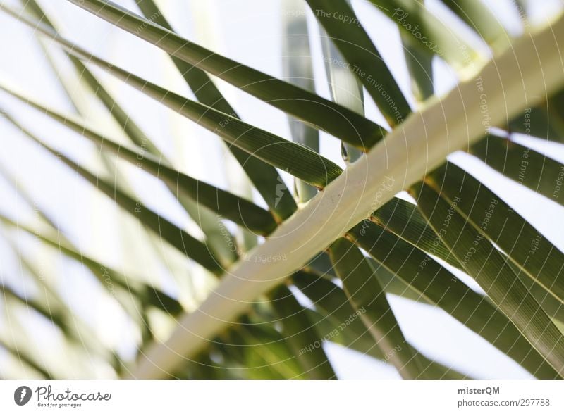 The palm tree. Art Esthetic Nature Palm tree Palm frond Palm roof Green Summer vacation Vacation & Travel Vacation photo Vacation destination Vacation mood