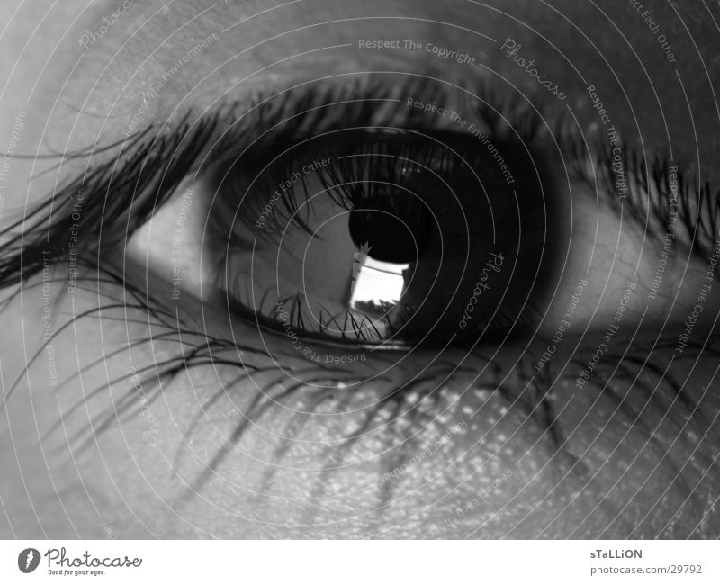 oeil Eyelash Woman Eyes Black & white photo Looking reflection dreariness