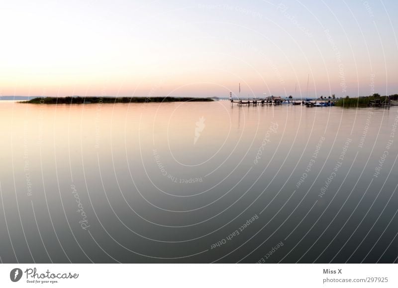 Even more sea Calm Vacation & Travel Summer vacation Nature Landscape Beautiful weather Coast Lakeside Ocean Island Infinity Moody Horizon Idyll Lake Neusiedl