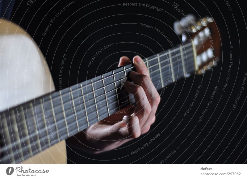 guitar Human being Hand Art Artist Event Music Concert Musician Guitar Joy Colour photo Interior shot Studio shot Close-up Detail Blur Shallow depth of field