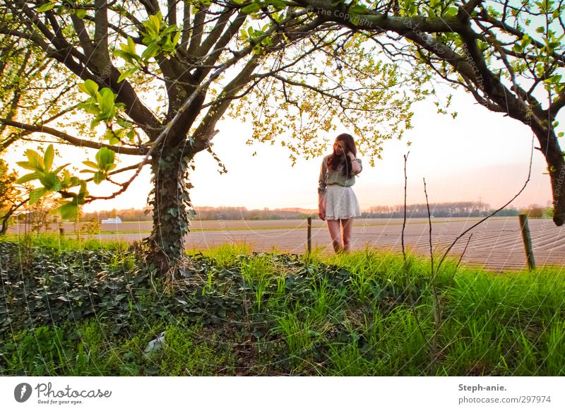 Mr. Sun, please don't go away Feminine Young woman Youth (Young adults) 1 Human being 13 - 18 years Child Landscape Spring Beautiful weather Tree Ivy Field