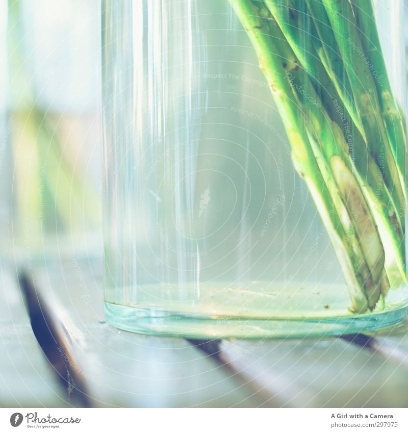 interfaces Water Spring Flower Green Bouquet Vase Decoration Transparent Flower stalk Round Subdued colour Deserted Copy Space left Copy Space middle Day Light