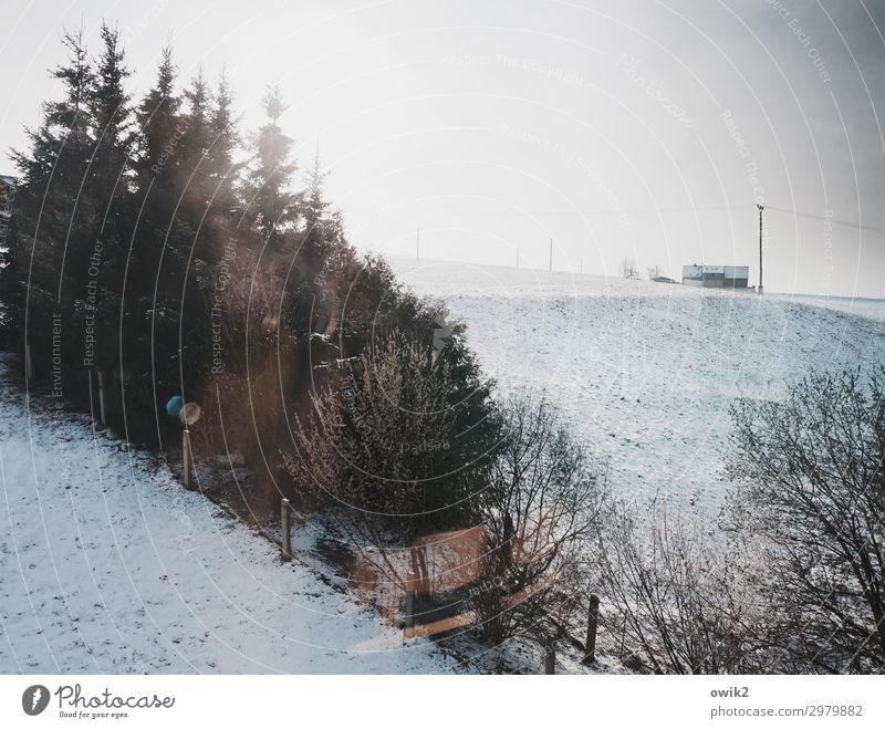 skyscraper Environment Nature Landscape Plant Sky Horizon Sun Winter Beautiful weather Ice Frost Snow Tree Grass Bushes Meadow Forest Thuringia Germany Village