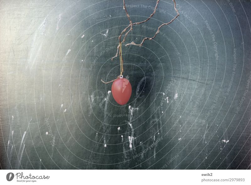 holiday Egg Easter egg Public Holiday Billboard Twig Plastic Hang Wait Red Loneliness Colour photo Exterior shot Detail Structures and shapes Deserted