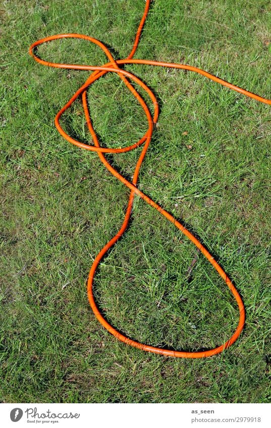 garden hose Garden Environment Nature Landscape Plant Earth Summer Climate Climate change Beautiful weather Drought Grass Lawn Garden hose Knot Lie Authentic