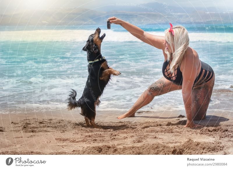 woman playing with dog on the beach Lifestyle Joy Playing Vacation & Travel Summer Summer vacation Beach Woman Adults Body 1 Human being 18 - 30 years