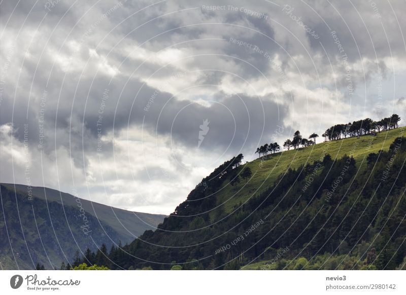 Glendalough in Ireland Irish Manmade landscape Monastery Monastery garden slope Hill hilly Green grassland Grass wooded wooded hill dramatic sky Weather