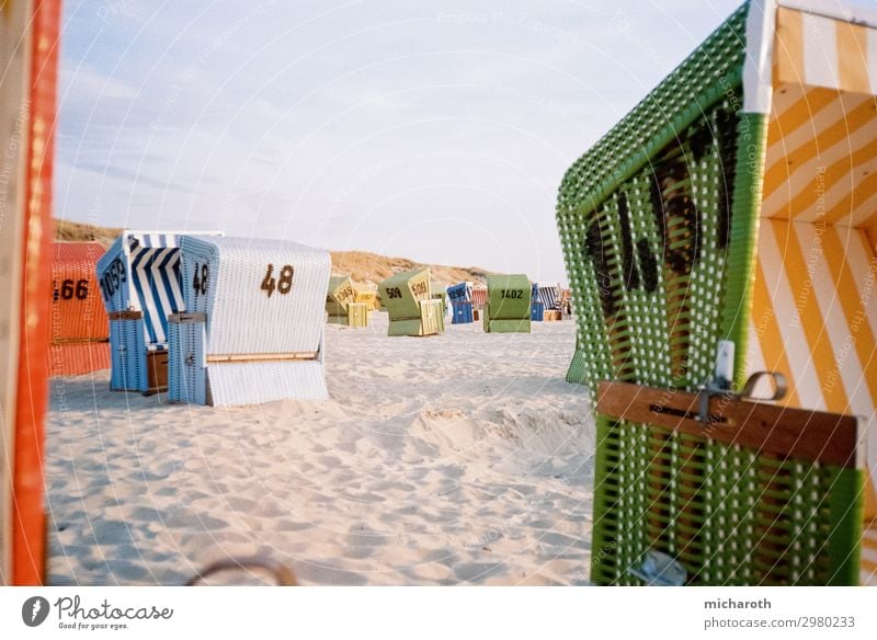 beach chairs Healthy Wellness Life Contentment Relaxation Vacation & Travel Tourism Freedom Cruise Summer vacation Beach Ocean Island Beautiful weather