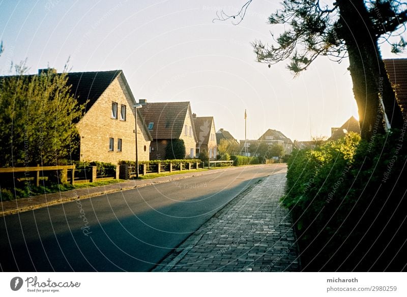 sunlit road Healthy Contentment Relaxation Vacation & Travel Summer vacation Environment Nature Cloudless sky Beautiful weather Plant Grass Bushes North Sea