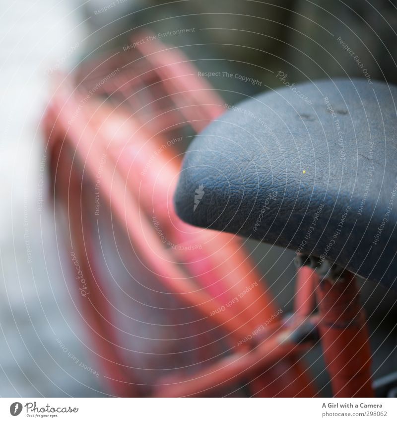 Rømø - Viking Wire Mesh Transport Bicycle Old Red Bicycle saddle Retro Subdued colour Exterior shot Light Shallow depth of field