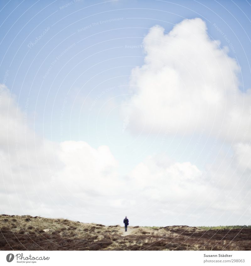 Rømø | lonesome Masculine Body 1 Human being Sky Clouds Sun Beautiful weather Bushes Moss Field Hill Baltic Sea Bog Marsh Infinity Success Power Loneliness