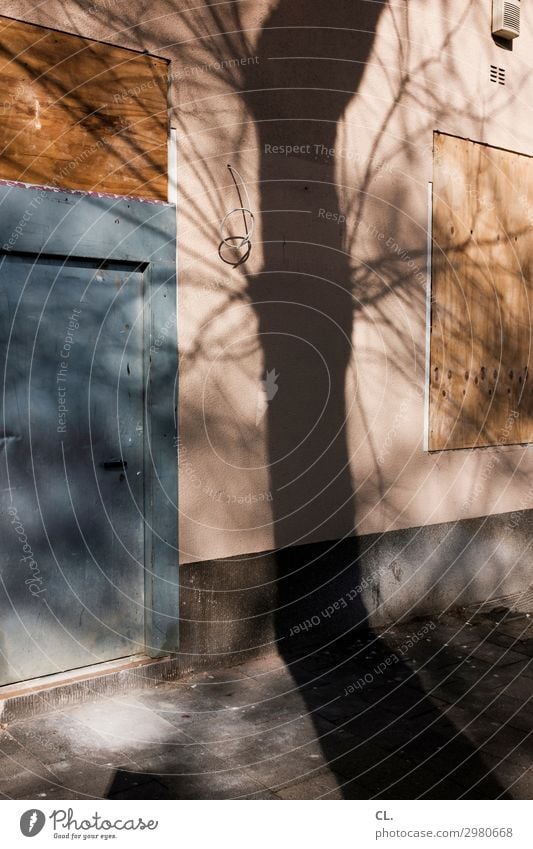 shading Construction site Cable Beautiful weather Tree Deserted House (Residential Structure) Building Wall (barrier) Wall (building) Window Door Lanes & trails