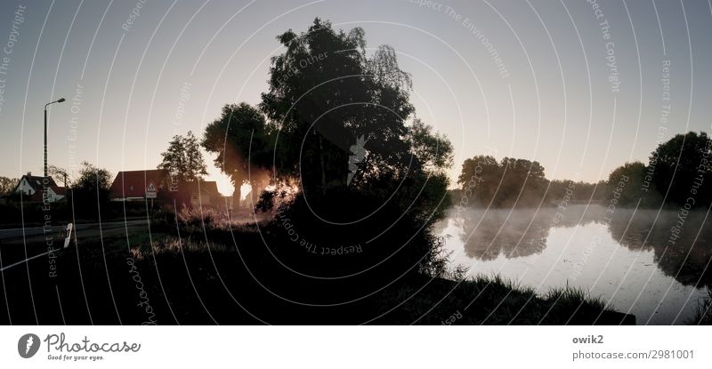 louse morning Environment Nature Landscape Cloudless sky Autumn Fog Tree Bushes Pond Lake Village House (Residential Structure) Illuminate Calm Peaceful Sunrise