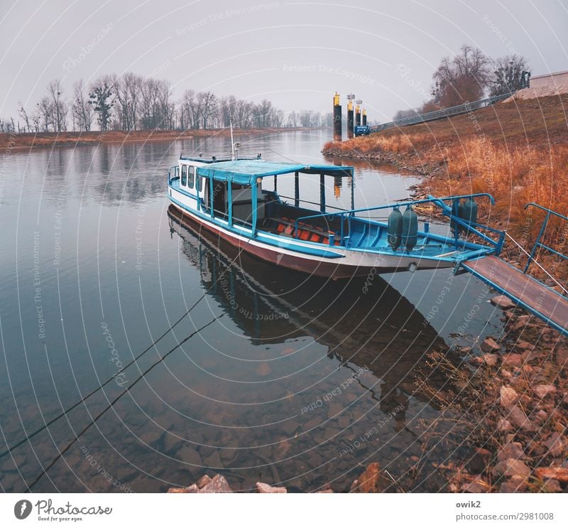 Elbe Environment Nature Landscape Horizon Autumn Beautiful weather River bank Transport Means of transport Navigation Motor barge Lie Wait Serene Patient Calm