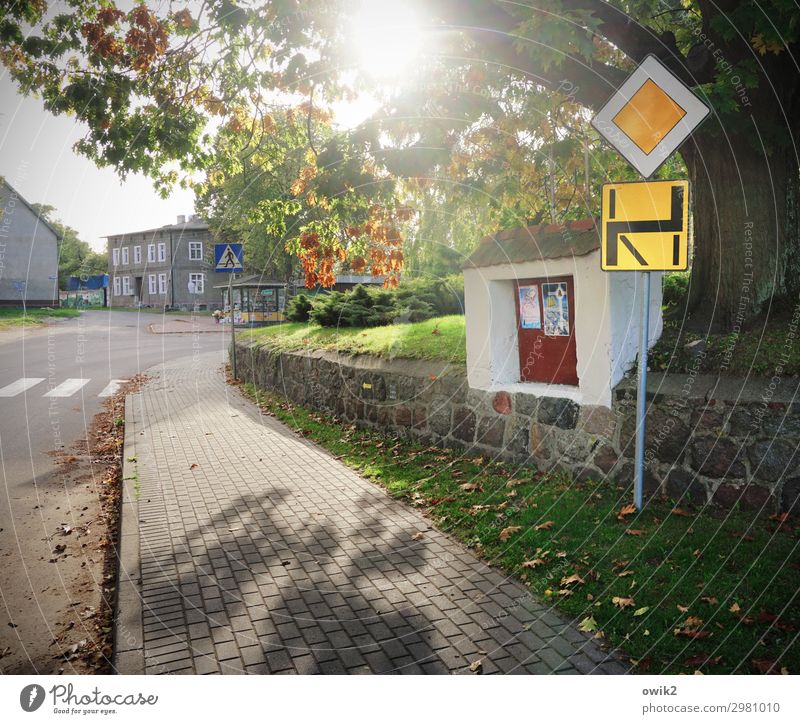 for the sake of good order Cloudless sky Sun Autumn Beautiful weather Plant Tree Grass Poland Eastern Europe Village House (Residential Structure)