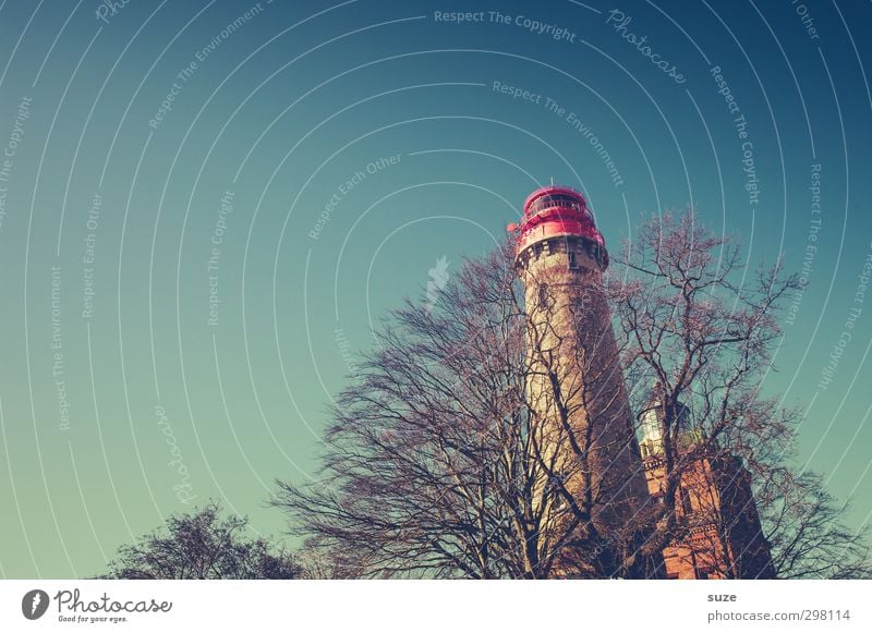 Search man with hat and dog Winter Environment Nature Landscape Elements Sky Cloudless sky Climate Weather Beautiful weather Tree Coast Lighthouse Growth