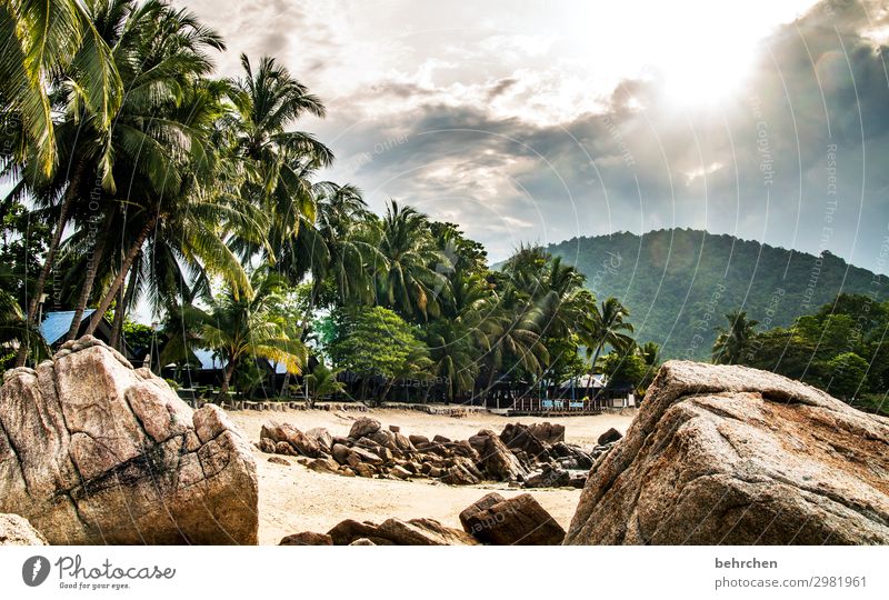 paradise Paradise Storm Raincloud Far-off places Vacation & Travel Nature Landscape Sky Clouds Sun Palm tree Virgin forest Rock Mountain Waves coast Beach