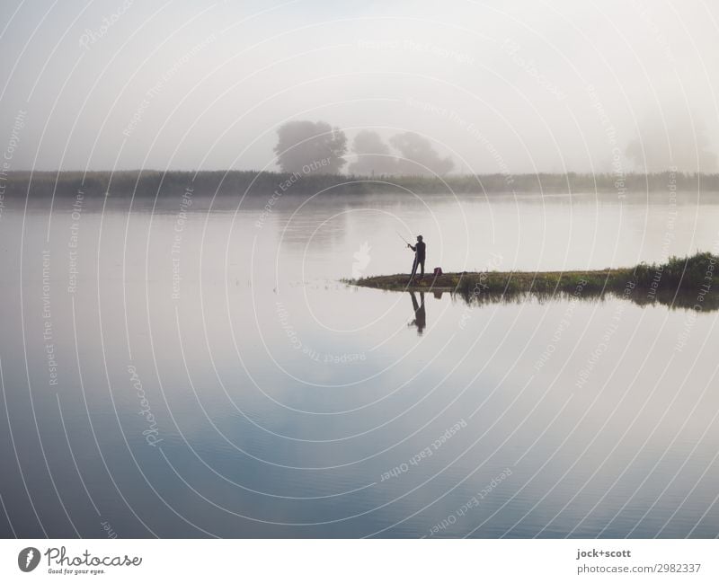 Good morning on the Oder Fishing (Angle) Landscape Sky Summer Fog River bank Brandenburg Serene Relaxation Idyll Inspiration Border area Picturesque Hazy Angler