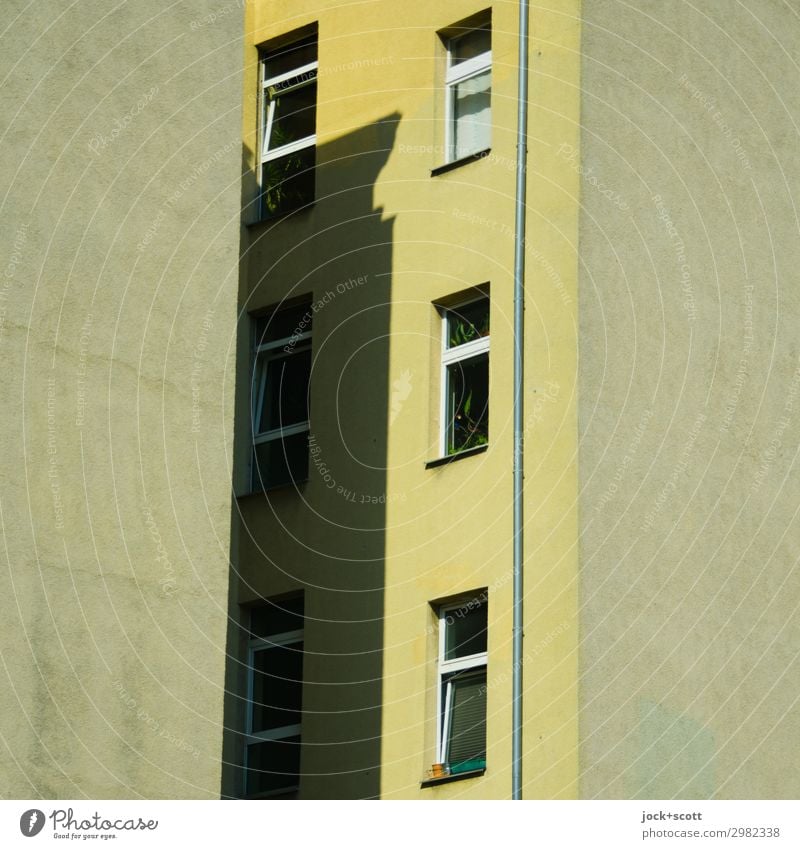 Fire wall in the middle Facade Window Sharp-edged Symmetry Downpipe Backyard Shadow play Spacing Gap Sun's position Structures and shapes Neutral Background