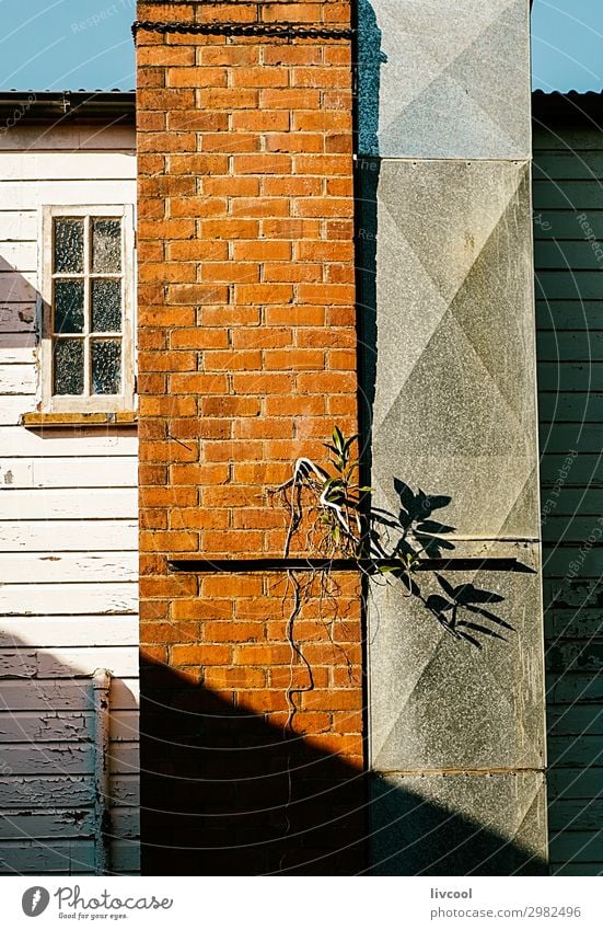 facade with shadow , yungaburra Lifestyle House (Residential Structure) Plant Flower Village Town Building Architecture Wall (barrier) Wall (building) Facade