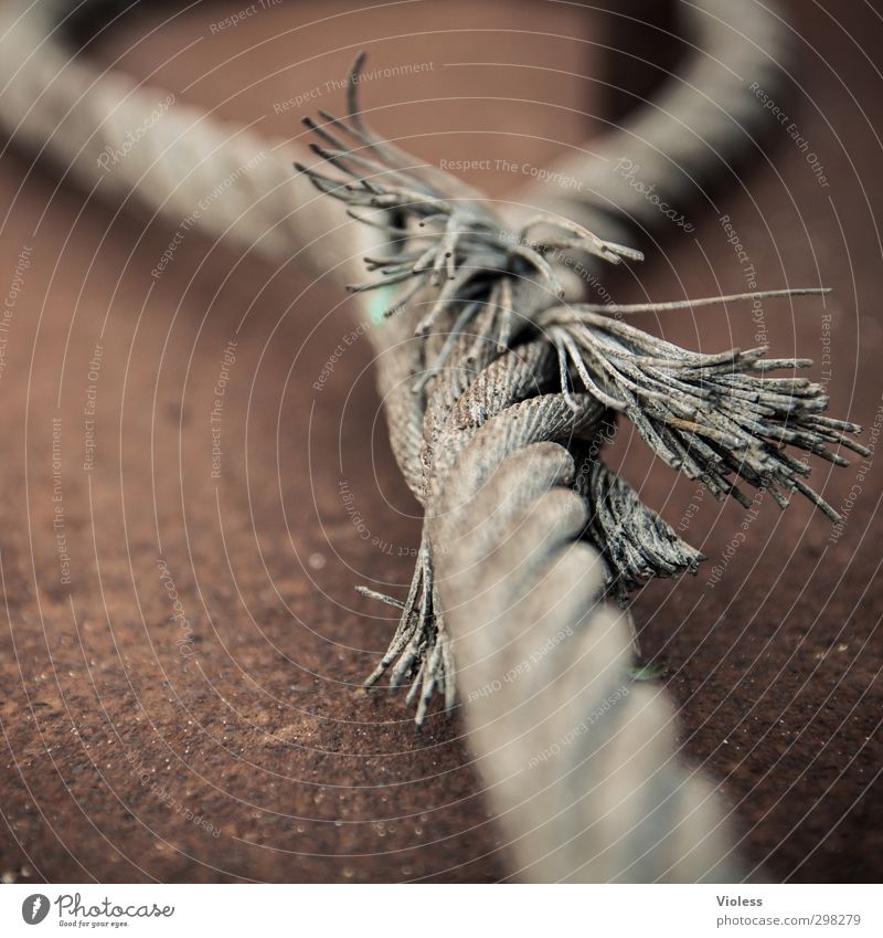 Rømø. Everything's over. Rope Steel To hold on Safety Knot Plaited Strong Colour photo Close-up Macro (Extreme close-up) Blur