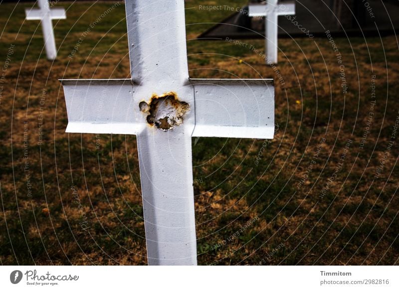 resting place Plant Grass Denmark Christian cross Metal Crucifix Dark Simple Broken Brown White Emotions Humble Sadness Death admonish Remember Cemetery finite