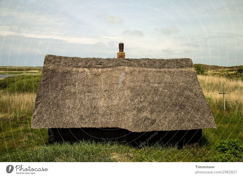 Cottage in the green Vacation & Travel Living or residing House (Residential Structure) Environment Nature Landscape Plant Sky Clouds Grass Bushes Meadow Fjord