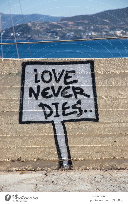 Love never dies Vacation & Travel Summer Summer vacation Art Graffiti Street art Town Port City Harbour Happy Hope Optimism Contentment Attachment Speech bubble