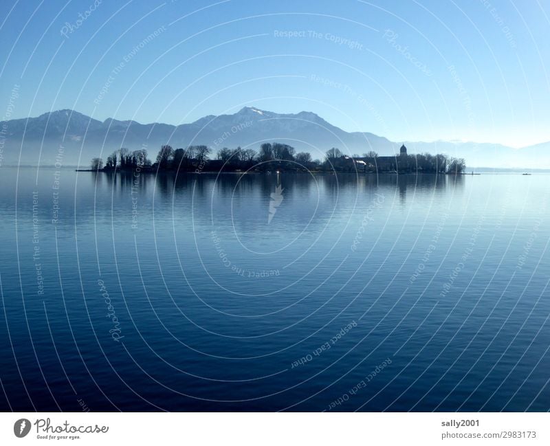 Winter day at Chiemsee... Landscape Cloudless sky Beautiful weather Tree Alps Mountain Lake Lake Chiemsee Bavaria Chiemgau Church Monastery Fantastic